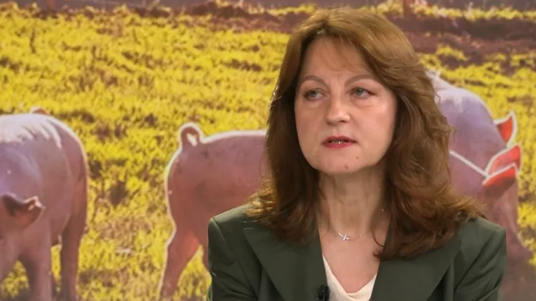 Tatjana Karačić otkrila kako će izgledati cijepljenje stoke: 'Bit će izazovno, ali...'