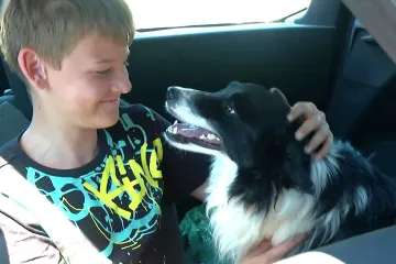 Stotinu pasa čeka svoju novu priliku! Ova obitelj im je to pružila: 'Djeca su u suzama odlučila da mora...'