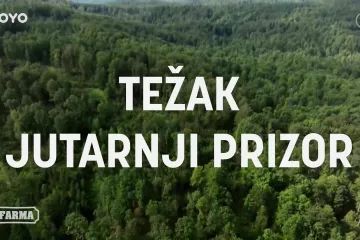 Dok napetosti rastu, farmeri su sve nesigurniji, a Marinko pritom uživa u hladetini