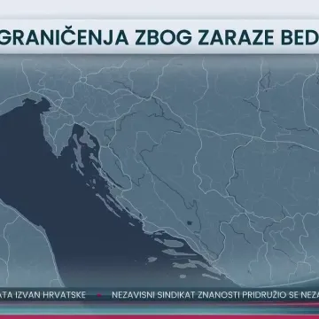 Stočari očajni zbog bedrenice: 'Nitko nije došao ni pogledati krave'