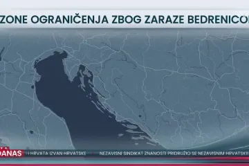 Stočari očajni zbog bedrenice: 'Nitko nije došao ni pogledati krave'