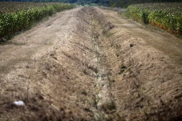 Suša poharala Međimurje: Težak udarac obiteljima koje ovise o poljoprivredi