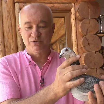 Golubovi iz Baranje viceprvaci svijeta: Goran ostvario ono o čemu je sanjao kao dijete