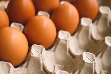 Zbog salmonele se povlače jaja A klase, državni inspektorat poslao upozorenje