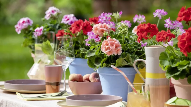 Kreativne viseće dekoracije s pelargonijama