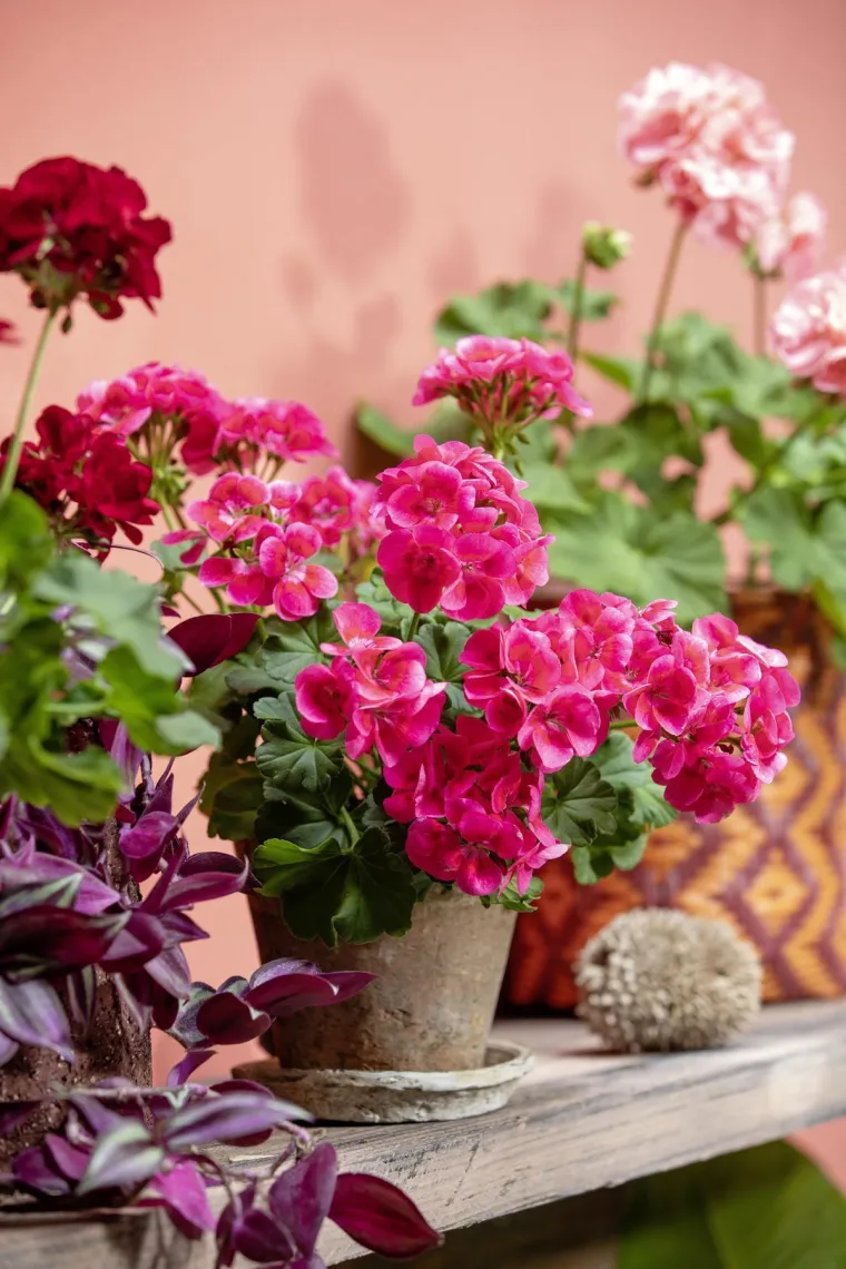 Donosimo pet aktualnih trendova