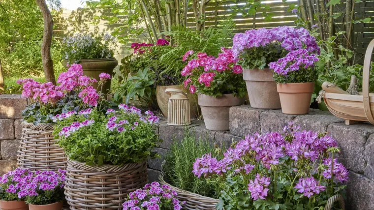 Donosimo pet aktualnih trendova