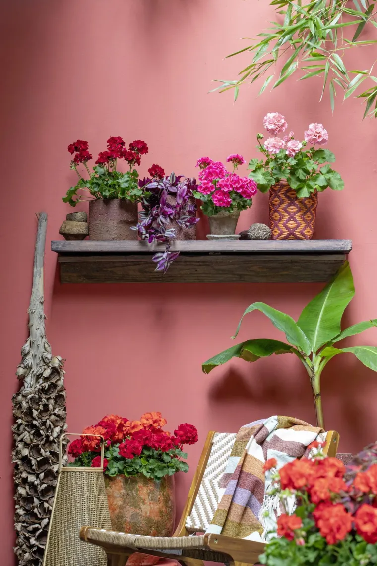 Donosimo pet aktualnih trendova