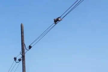 Ovo nema nigdje! Uzrok požara na Mljetu je... Ma bolje pogledajte sami