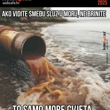 More cvjeta