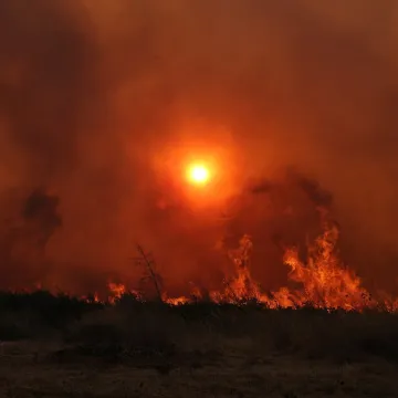 Miris zapaljenog drva proširio se do središta glavnog grada: Gore kuće, košnice i stabla