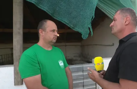 Uzgajivači svinja u Jagodnjaku na rubu suza