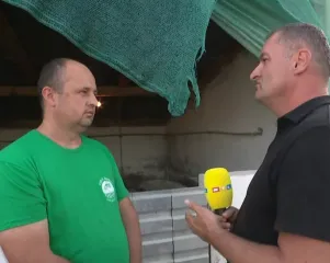 Uzgajivači svinja u Jagodnjaku na rubu suza