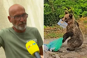 Medvjed iz Senja šokirao Roberta: 'Skočio je prema bazenu pa se sakrio iza drveća'