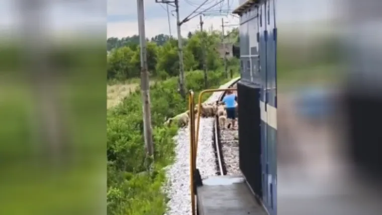 Koja je tajna sporih vlakova u Hrvatskoj: Kada pogledate snimku sve će vam biti jasno