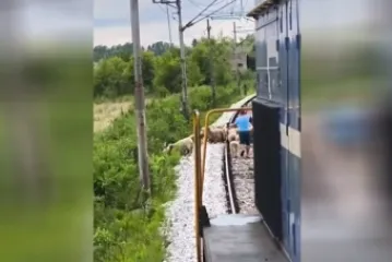 Koja je tajna sporih vlakova u Hrvatskoj: Kada pogledate snimku sve će vam biti jasno