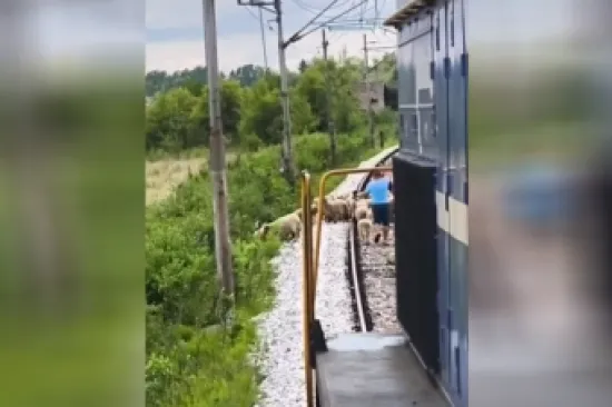 Koja je tajna sporih vlakova u Hrvatskoj: Kada pogledate snimku sve će vam biti jasno