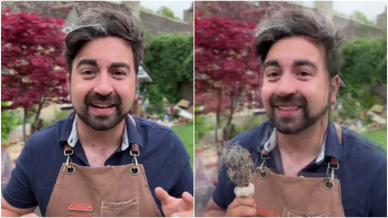 Prirodna obrana od puževa: Zaštitite vrt bez kemikalija