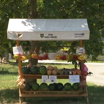 Nitko ne krade, svi plaćaju: Otkrijte tajnu štanda koji je razotkrio dušu Slavonije