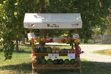Nitko ne krade, svi plaćaju: Otkrijte tajnu štanda koji je razotkrio dušu Slavonije
