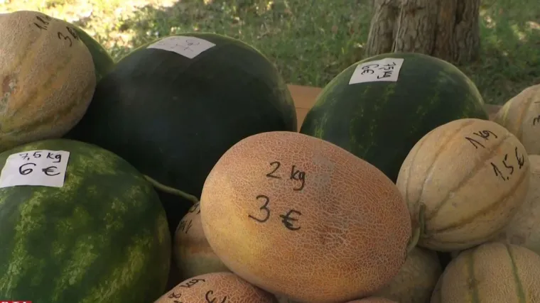 Samoposlužni štandovi u Baranji: Kupuješ bez da te netko gleda, a ako nemaš novac - ostaviš poruku