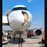 Ovako izgleda kad ptica udari nos Airbusa: Avion hitno sletio, slike su brutalne