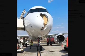 Ovako izgleda kad ptica udari nos Airbusa: Avion hitno sletio, slike su brutalne