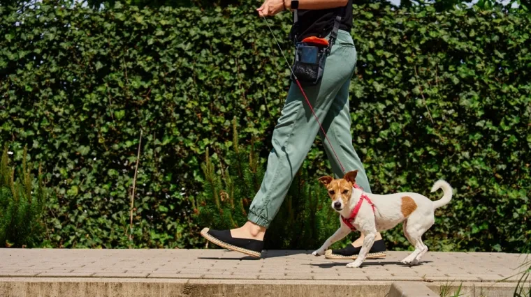 Stručnjak upozorava: 'Ovi tipovi ljudi nikada ne bi trebali imati psa'