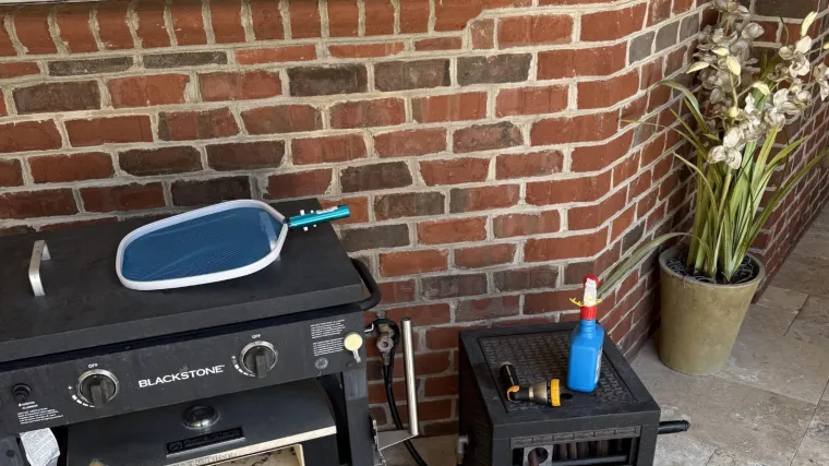 Ovaj zadatak izludio je tisuće ljudi: Samo 1% njih uspjelo je pronaći zmiju, možete li vi?