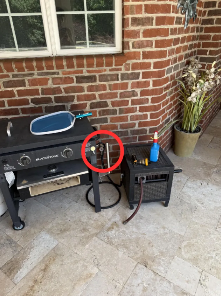 Ovaj zadatak izludio je tisuće ljudi: Samo 1% njih uspjelo je pronaći zmiju, možete li vi?