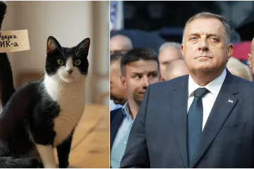 Objavili sliku mačke i poslali znakovitu poruku o Dodiku: 'Vidimo se...'