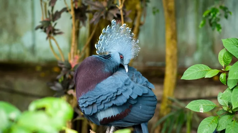 [KVIZ] Samo će pravi znalci imati sve točno na pitanjima o pticama