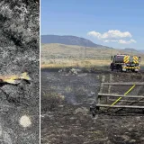 Riba pala s neba pa izazvala požar: Ovo je najluđa priča koju ćete danas pročitati