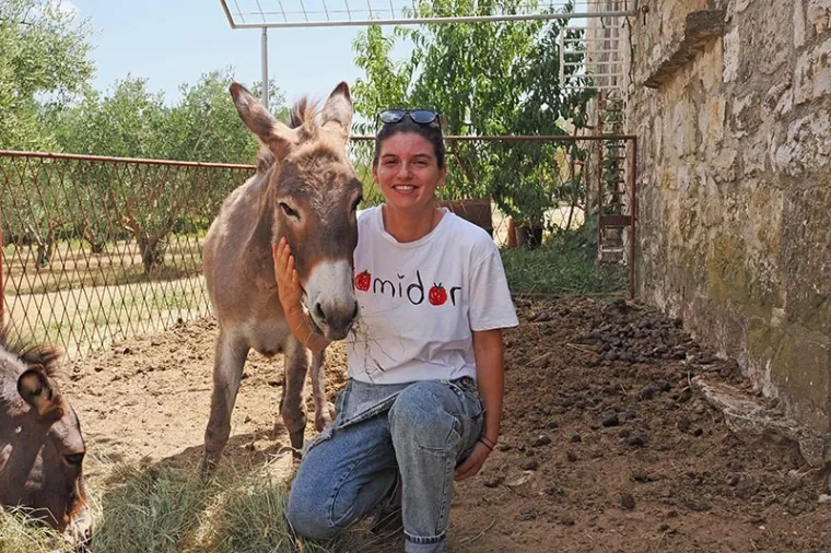 Zadarska županija: Više od mora i sunca – otkrijte čaroliju zaleđa