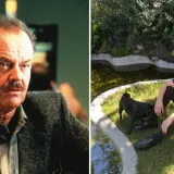 Uhićen unuk Jacka Nicholsona: Pozamašnom svotom novca kupio slobodu