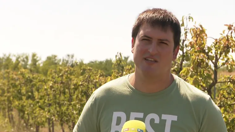 Ovo je Matija, čovjek velikog srca: Neće prodati već podijelit tri tone krušaka Vinkovčanima