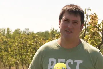 Ovo je Matija, čovjek velikog srca: Neće prodati već podijelit tri tone krušaka Vinkovčanima