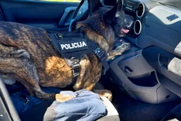 Ares nanjušio sumnjivi paket u Peugeotu: Pazite što je vozač skrivao na mjestu zračnog jastuka