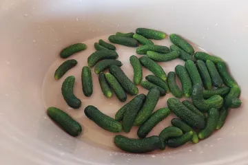Donosimo recept za kiseljenje krastavaca: Iznenadit će vas zdravstvene prednosti