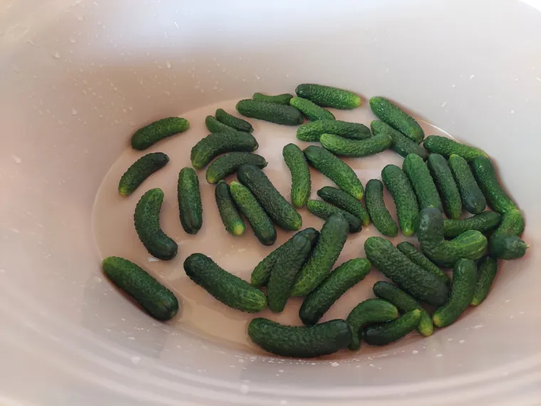 Donosimo recept za kiseljenje krastavaca: Iznenadit će vas zdravstvene prednosti