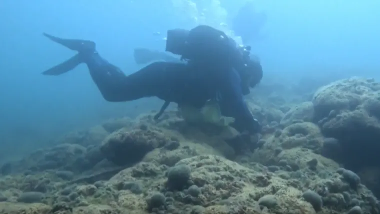 Koraljni greben na Mljetu ugrožen zbog klimatski promjena: 'Zabrinjavajuće je...'