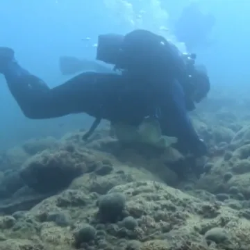 Koraljni greben na Mljetu ugrožen zbog klimatski promjena: 'Zabrinjavajuće je...'