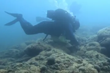 Koraljni greben na Mljetu ugrožen zbog klimatski promjena: 'Zabrinjavajuće je...'