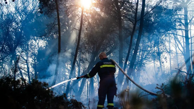 Otkriven uzrok požara na otoku Čiovu: Argentinac je napravio kobnu grešku