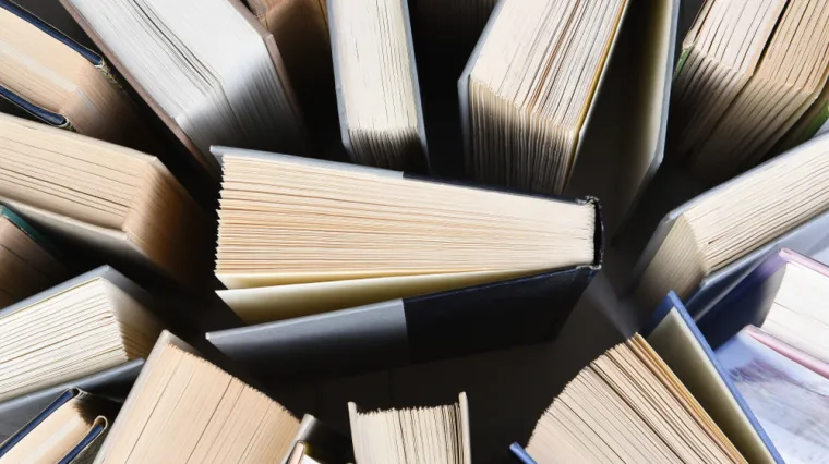 [KVIZ] Ako si čitao lektire, ovo će biti prelagana pitanja za tebe