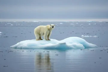 [KVIZ] Koliko znaš o polarnim životinjama?