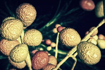 Uzbuna zbog supergljivice, od troje zaraženih, jedan ne preživi: 'Ozbiljna prijetnja čovječanstvu!'