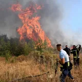 Hrvatska šalje kanader u Crnu Goru? 'Očekujemo pomoć Hrvata'