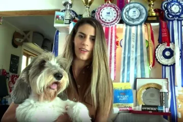 Najljepši pas na svijetu dolazi iz Hrvatske: 'Ona uživa u izložbama, suci to prepoznaju'