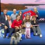Upoznajte Meghan - najljepši pas na svijetu dolazi iz naše zemlje!